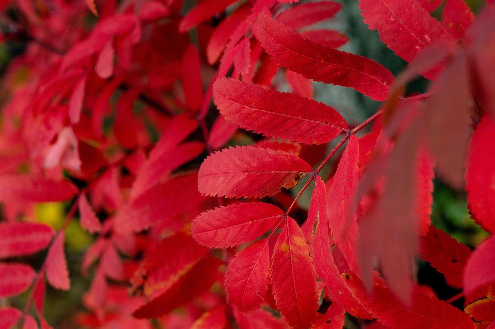 Фотография автора Екатерина Кожевникова