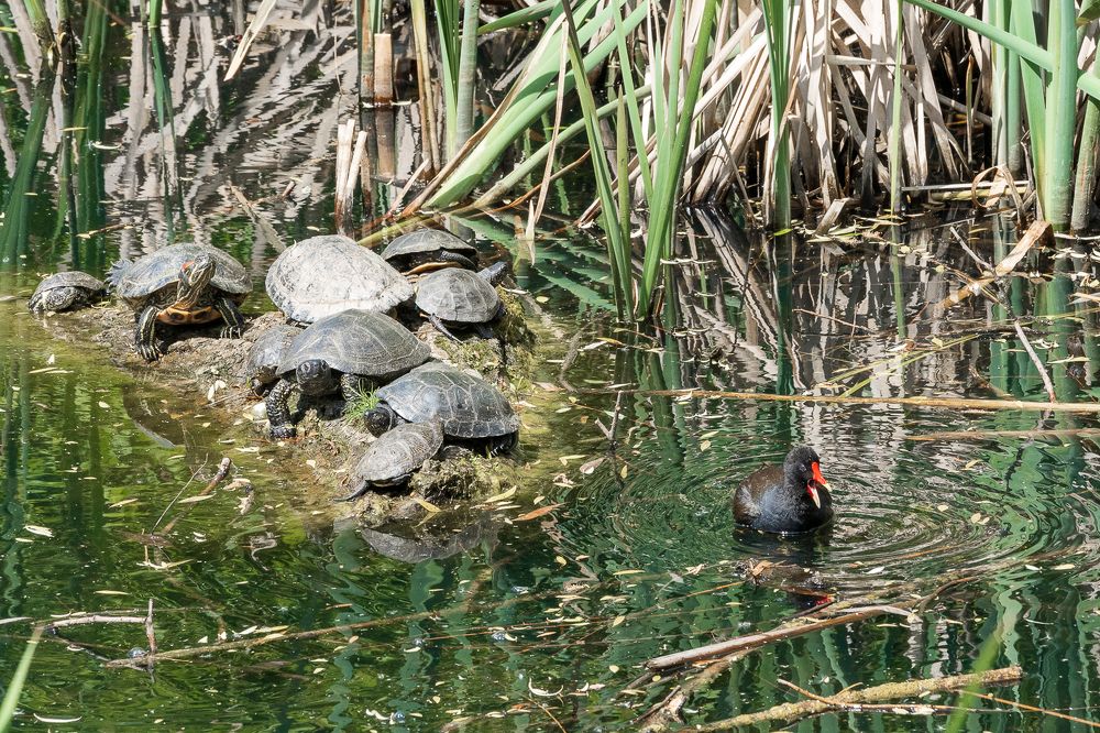 Photograph by Сурков Владимир