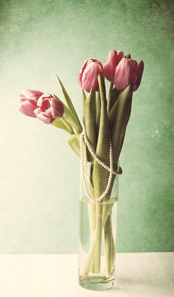 Photograph by Tatiana Kravchuk