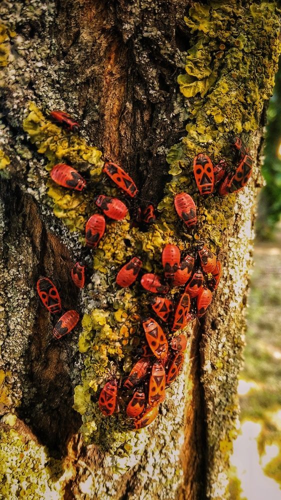 Фотография автора Анна