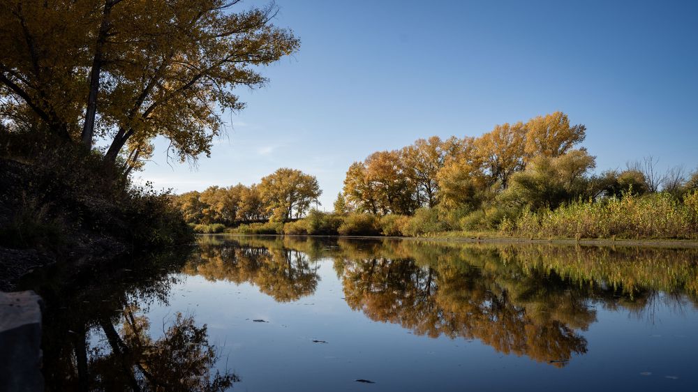 Photograph by Katerina Seneng