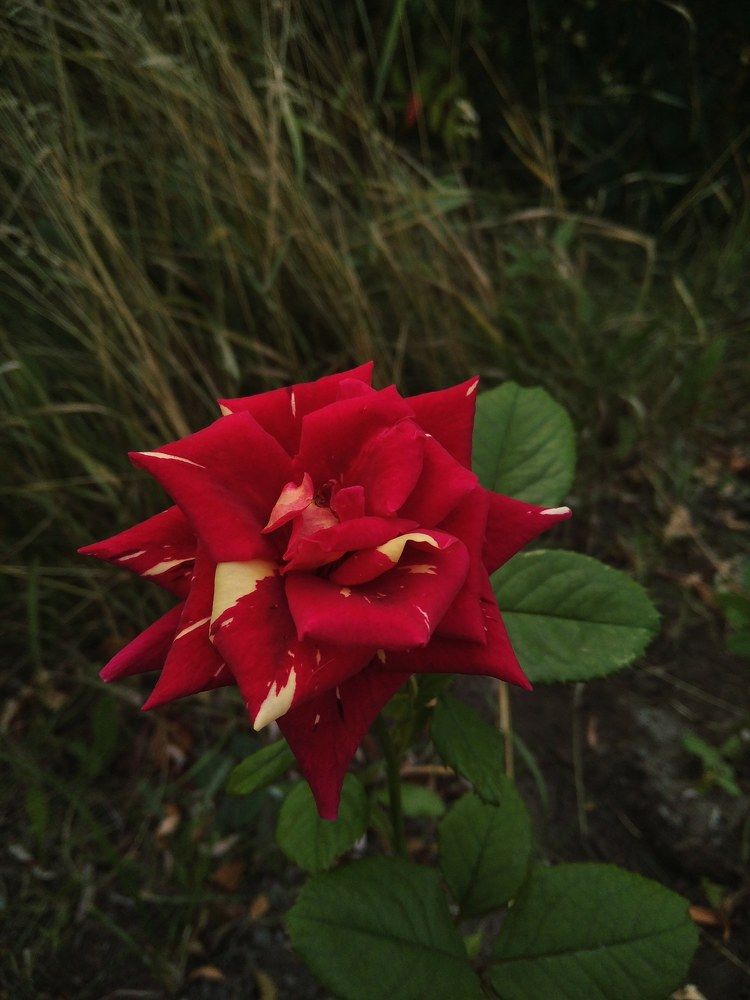 Фотография автора Анна