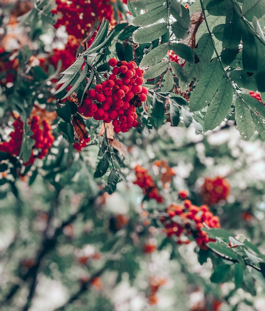 Photograph by Катерина