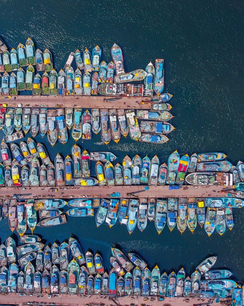 Fishing boats resting