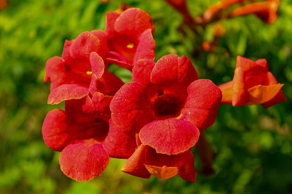 Photograph by Ирина Дмитриенко