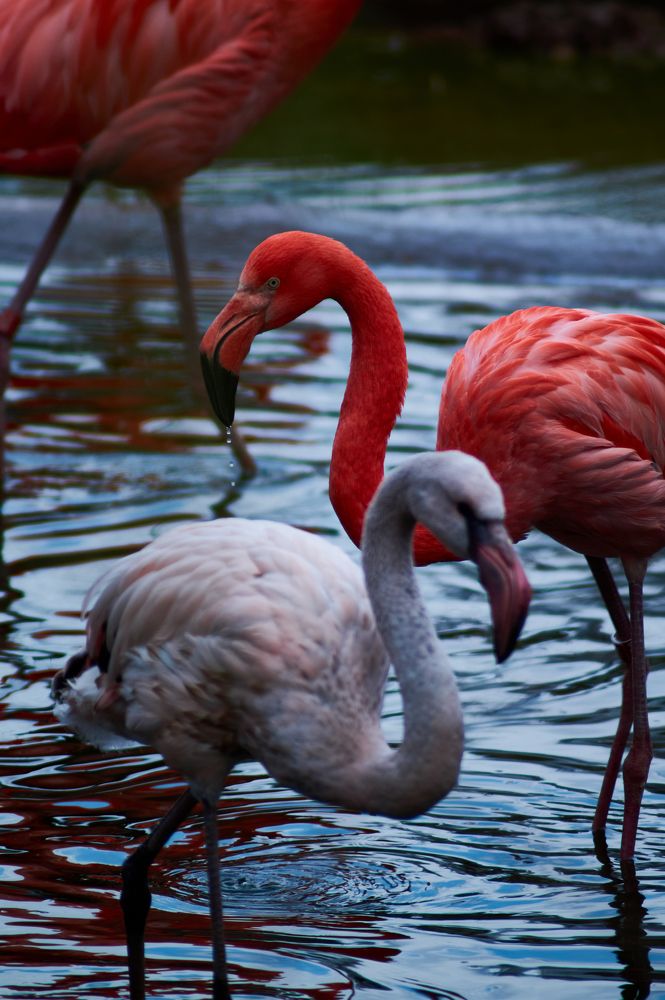 Photograph by Анастасия Пельменёва