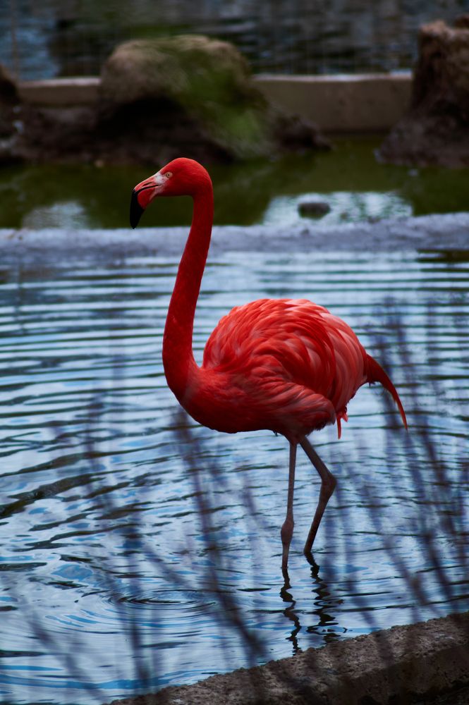 Photograph by Анастасия Пельменёва