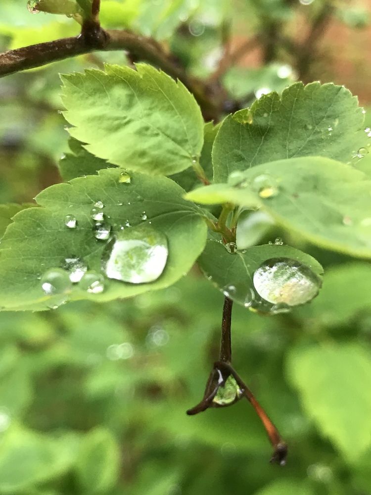 Photograph by Татьяна Шибанова