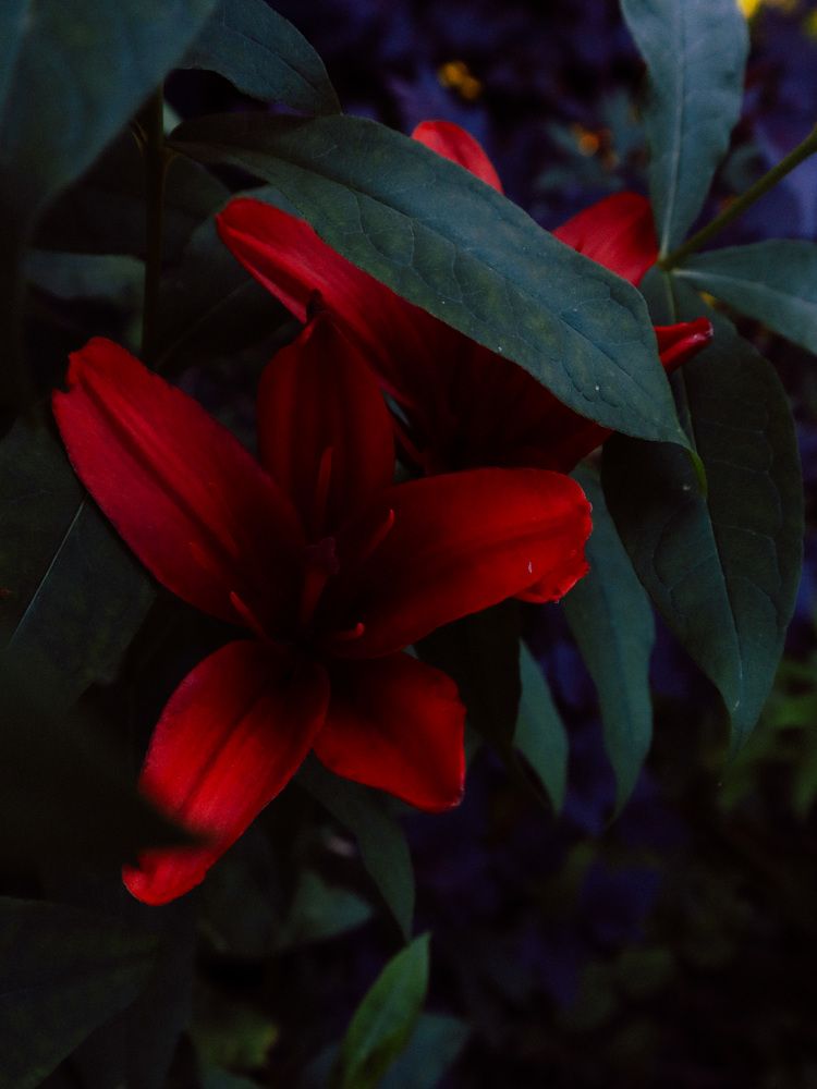 Photograph by Екатерина Федорова