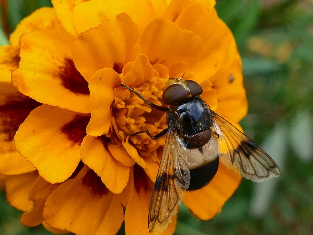 Photograph by Александр Кизим