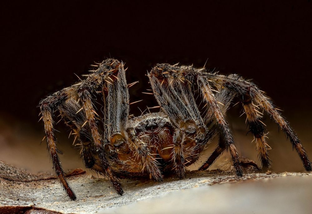 Photograph by Сергей Зелинский