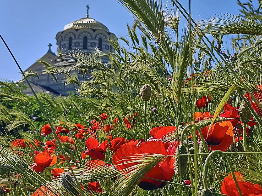 Photograph by Дмитрий