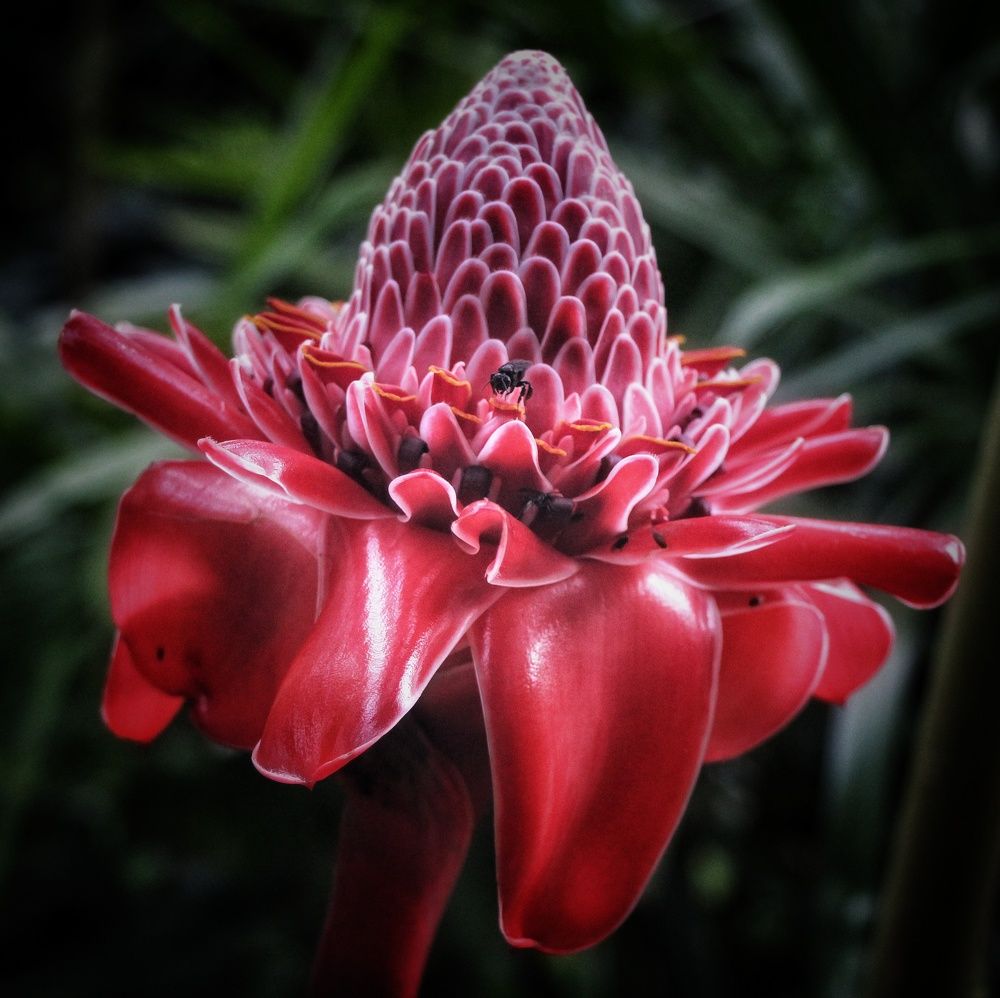 Photograph by Mauricio Mora Flores