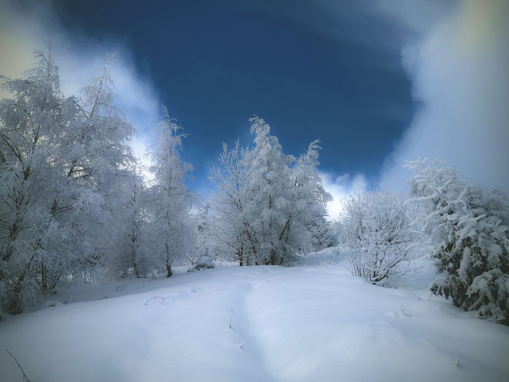 Фотография автора Sebastian Popa