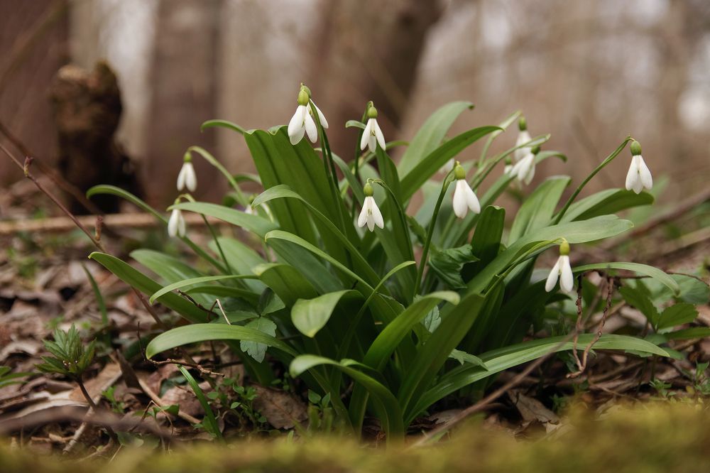 Photograph by Виктория Бережок