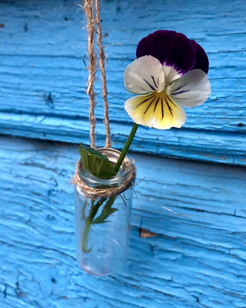 Photograph by Halina Mitsevich