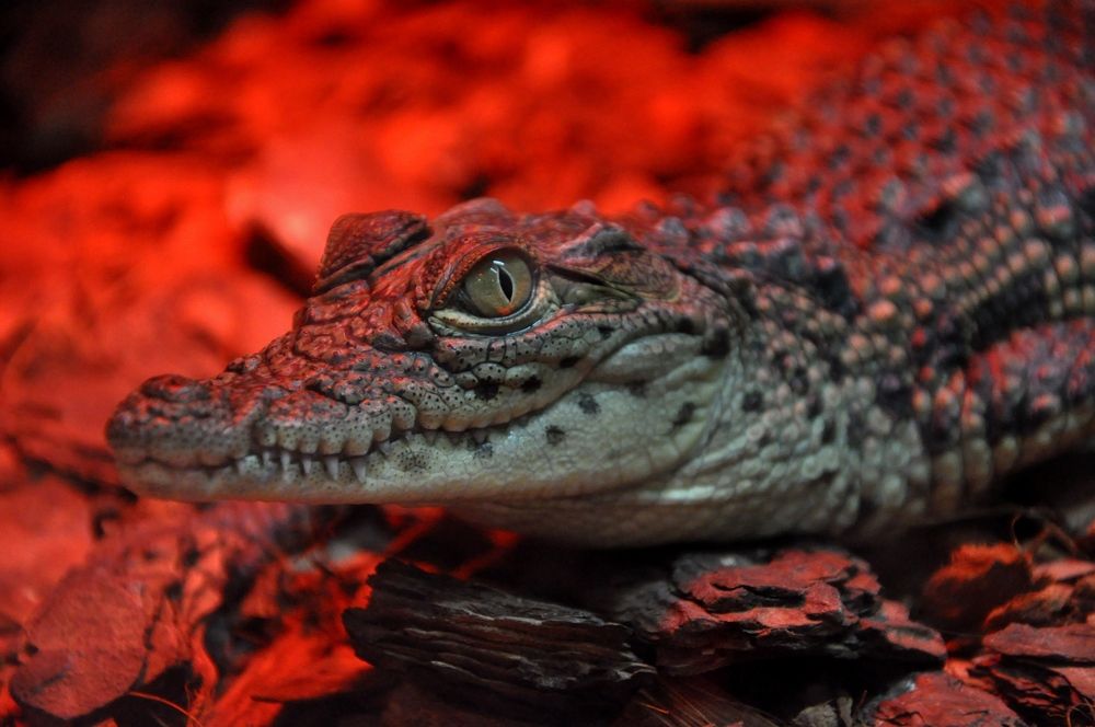 Photograph by Лысых Галина