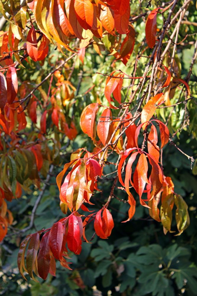 Photograph by Николай Немчанинов