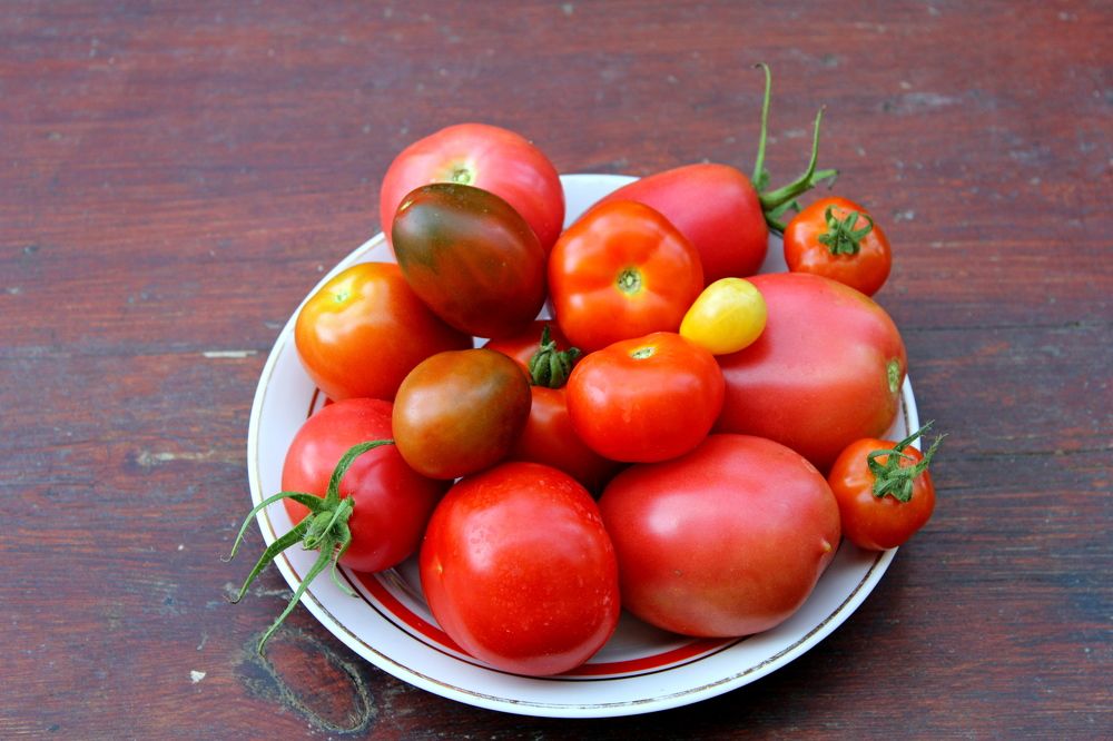 Photograph by Николай Немчанинов