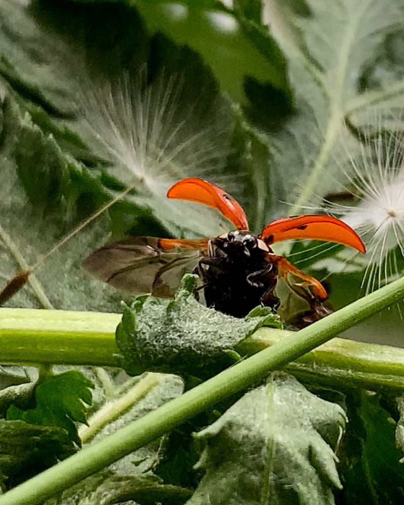 Photograph by Надежда Смирнова
