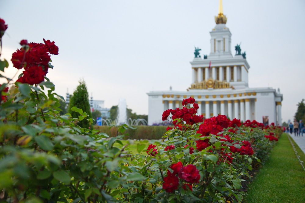 Фотография автора Олег Раков