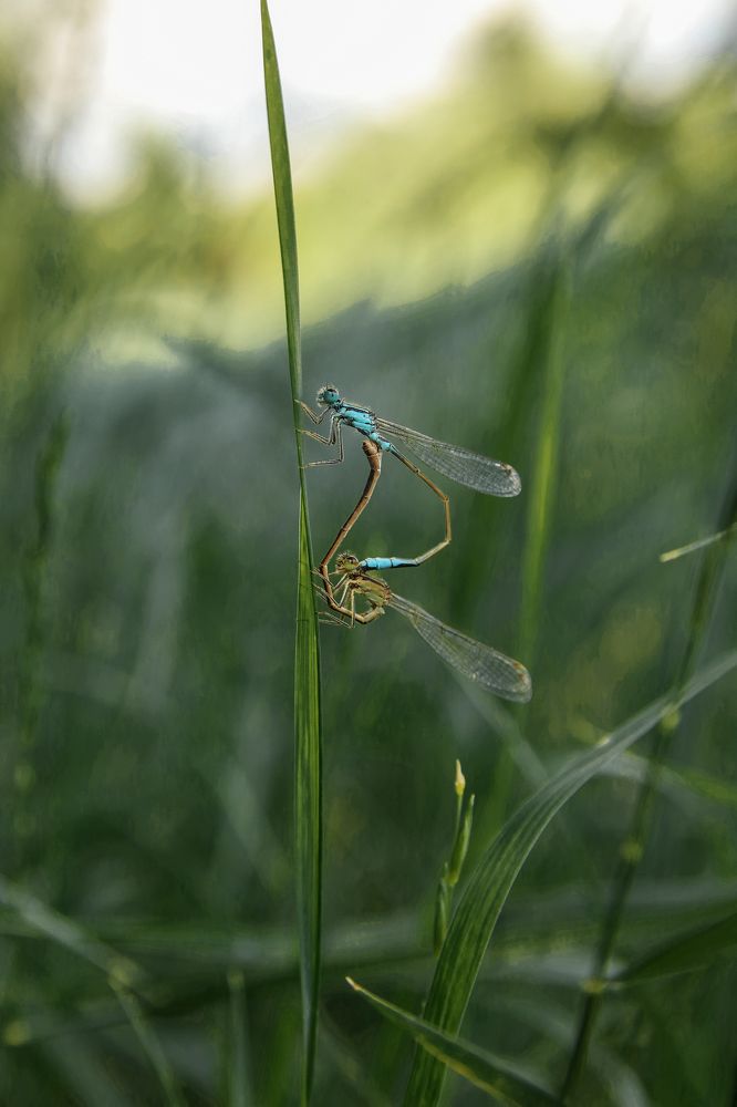 Photograph by Виктория Бережок