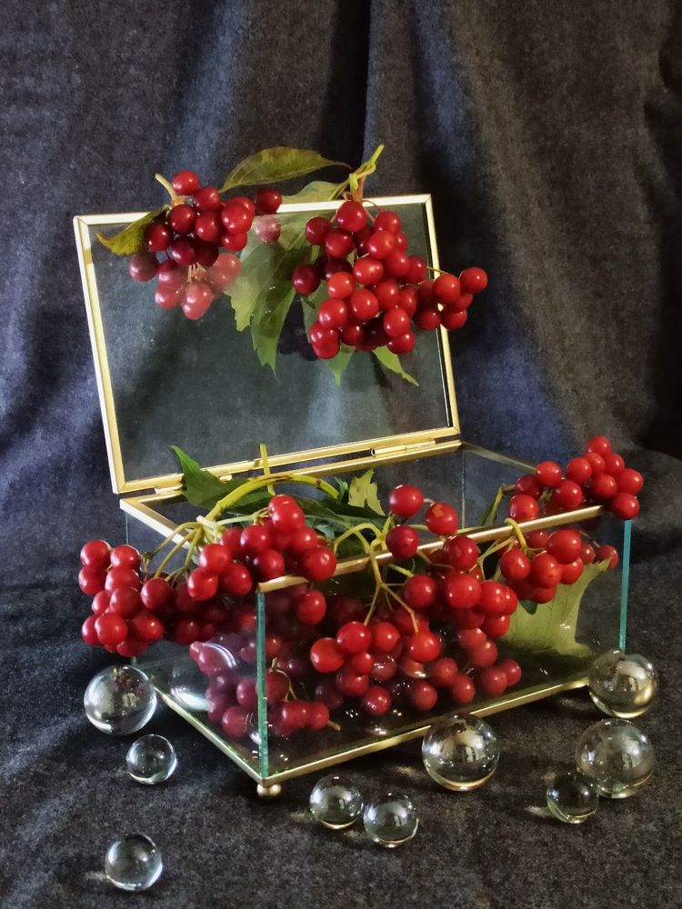 Photograph by Новикова Елена Сергеевна