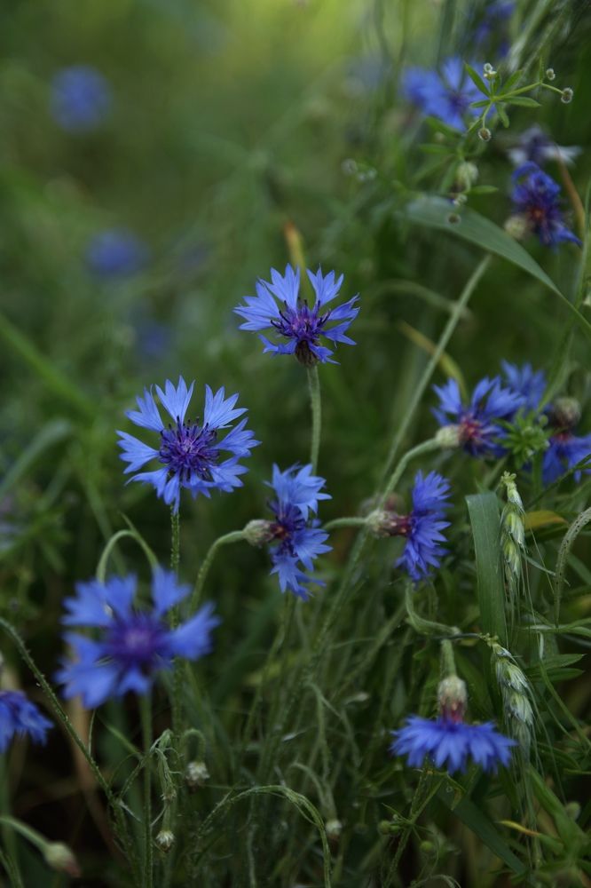 Photograph by Виктория Бережок