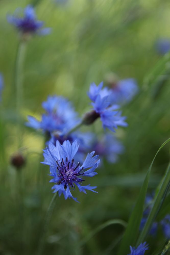 Photograph by Виктория Бережок
