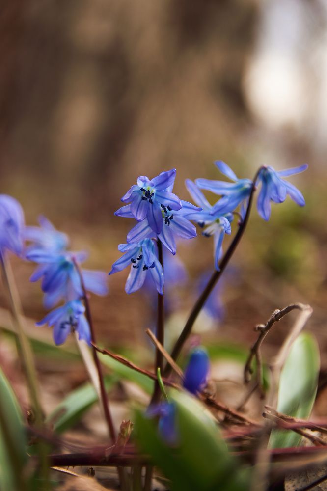 Photograph by Виктория Бережок