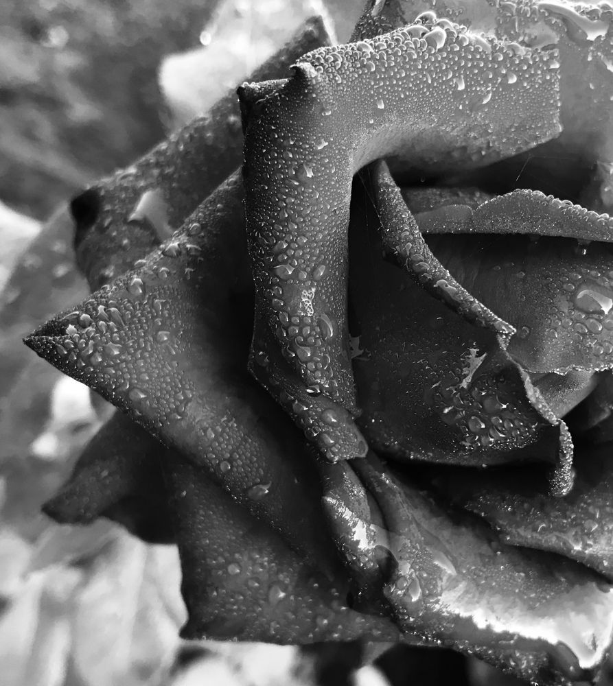 Photograph by Мадина Криштопа