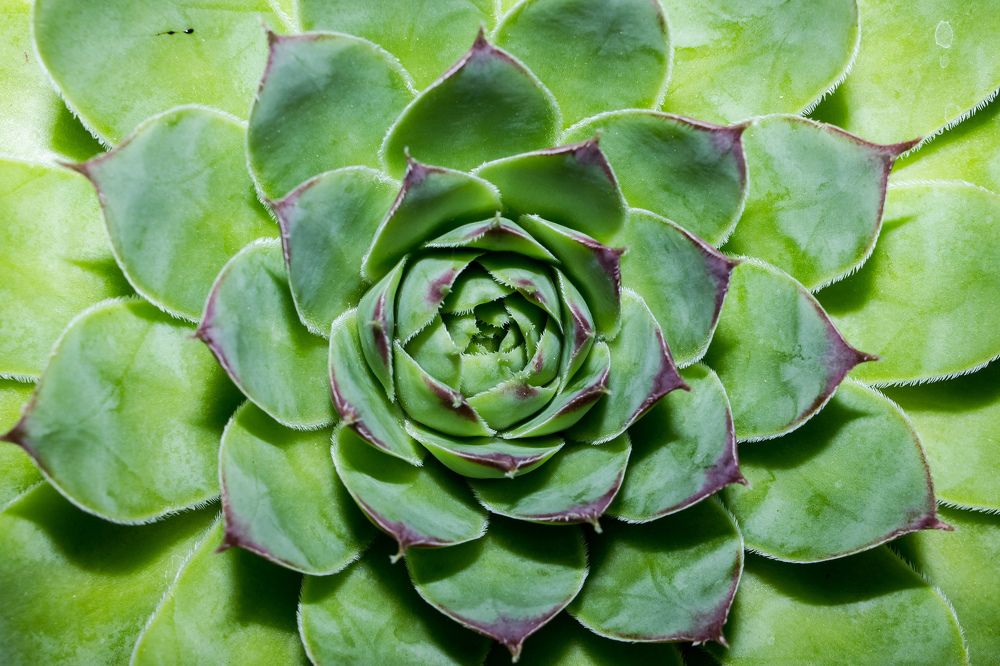 Фотография автора Minja Jovetic