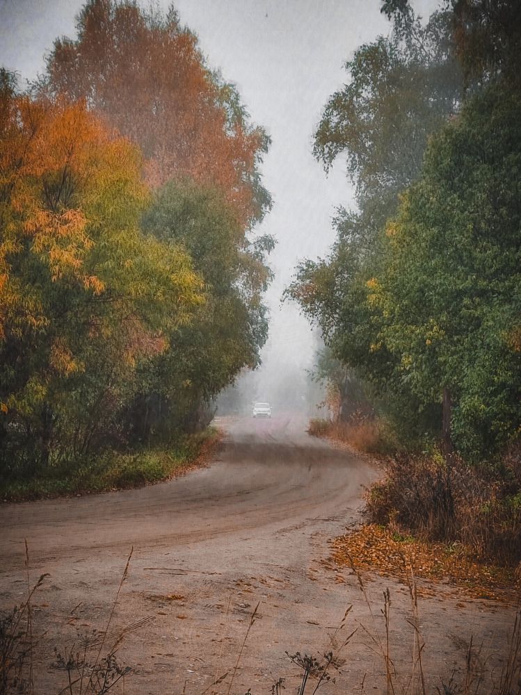 Photograph by Дина Чаица