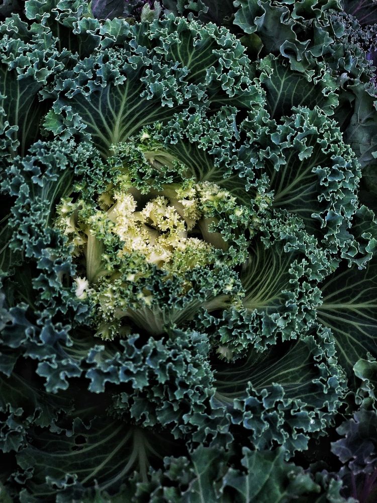 Photograph by Людмила Евстратова