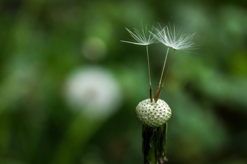 Фотография автора Minja Jovetic