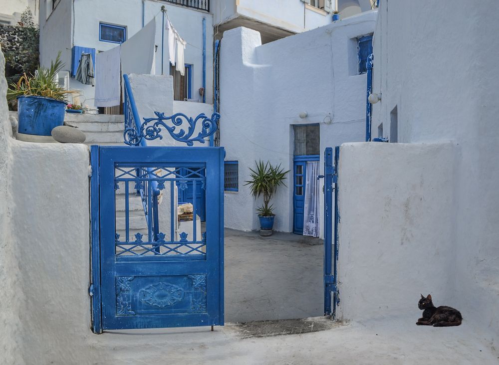 Photograph by Марина Ческис