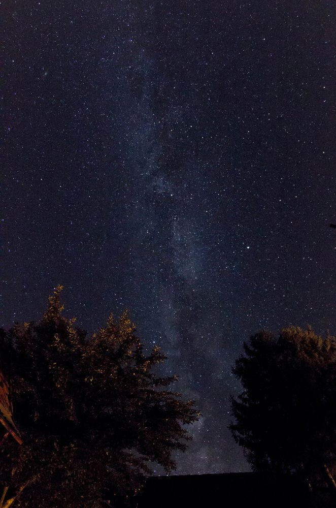 Фотография автора Minja Jovetic