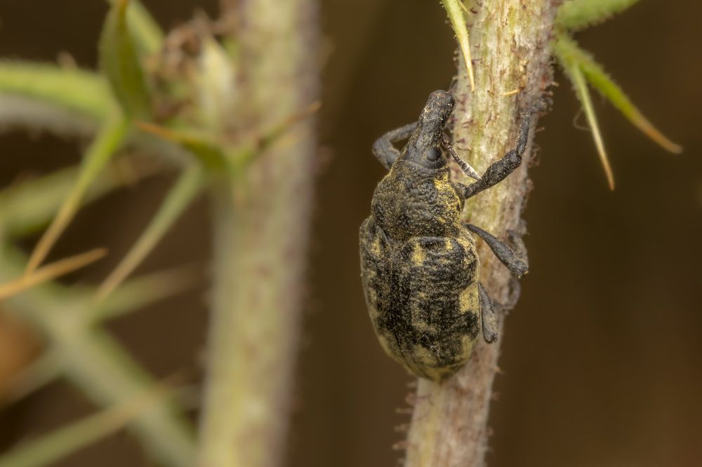 Фотография автора Nikolay Tatarchuk