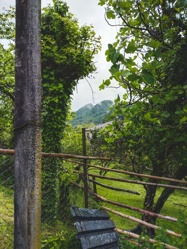 Фотография автора Андрей Жуков