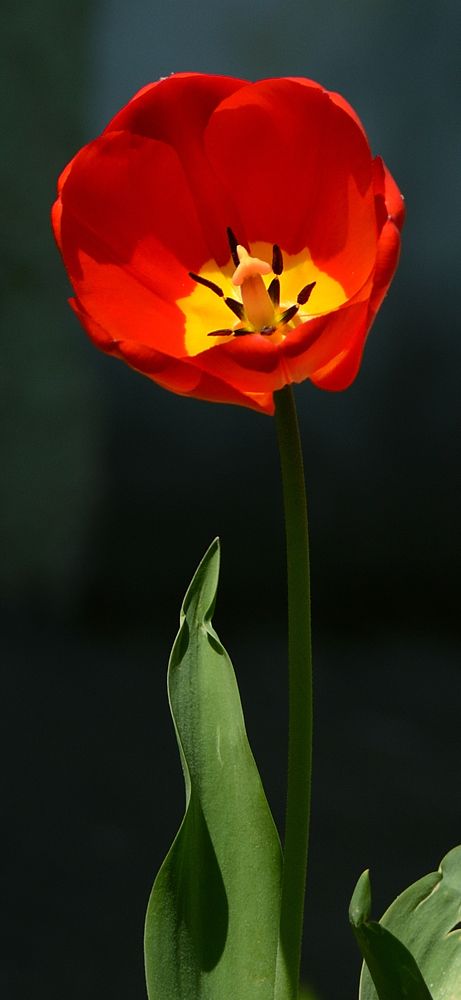 Фотография автора Алексей Батюков