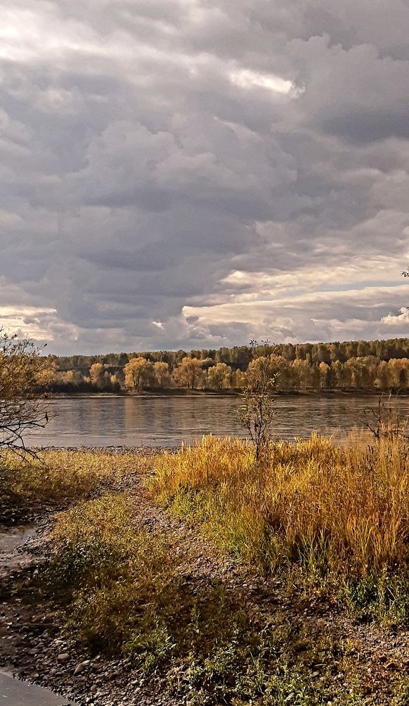 Photograph by Елизавета Загудаева