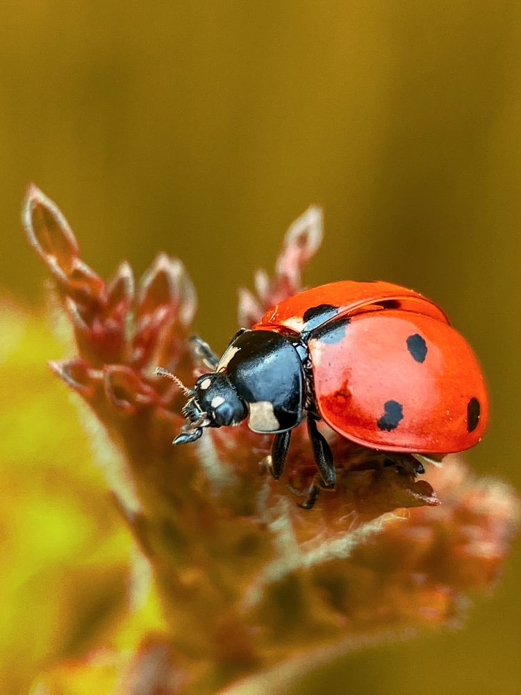 Photograph by Александра Гонтарь