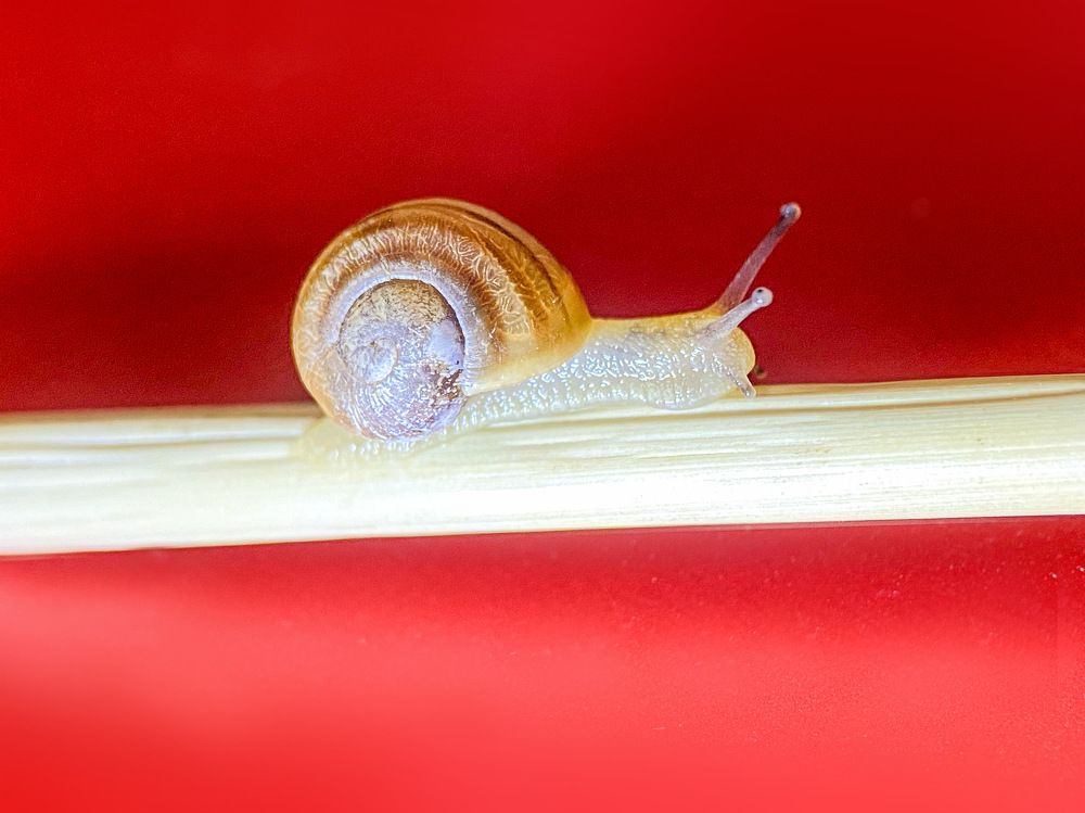 Photograph by Александра Гонтарь