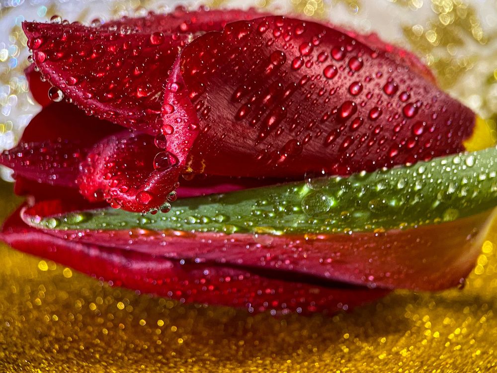 Photograph by Александра Гонтарь