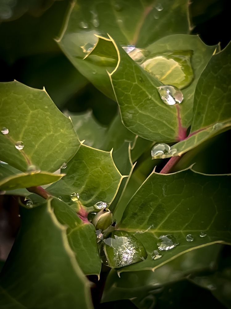 Photograph by Елена Башмакова