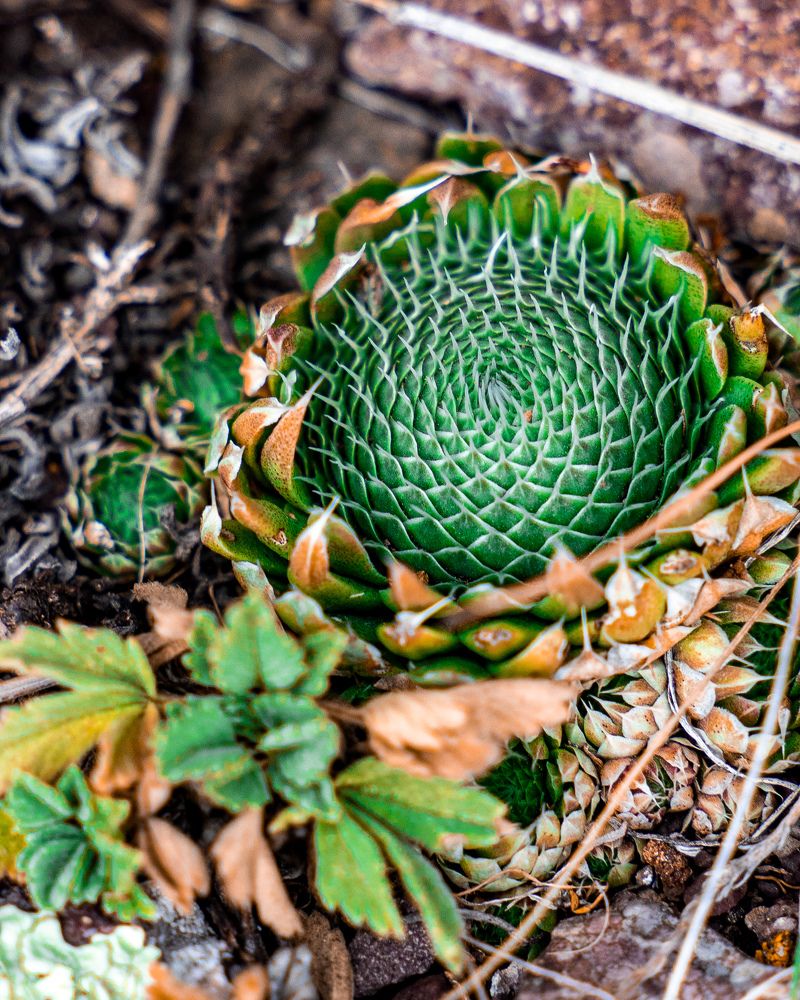 Photograph by Екатерина Дубровская