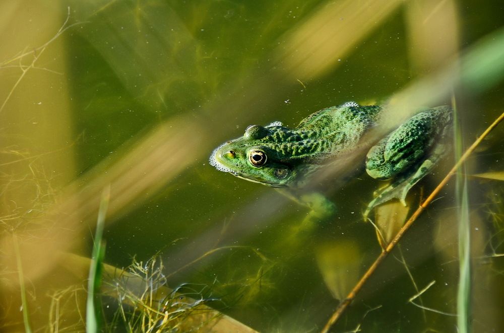 Photograph by Александр