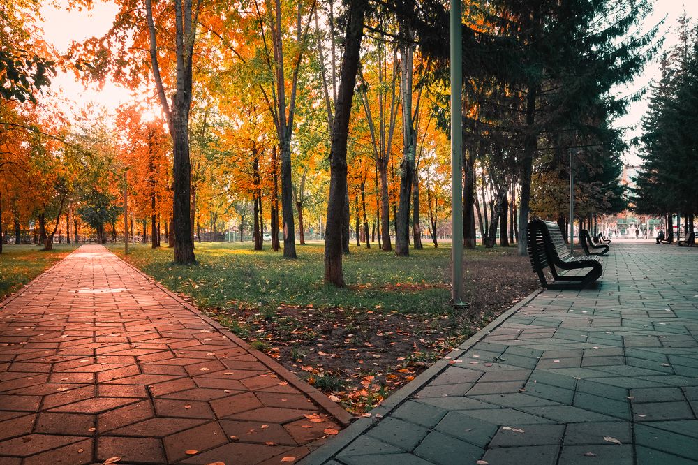 Photograph by Василий Лазарев