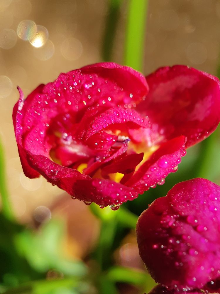 Photograph by Inessa Botasheva