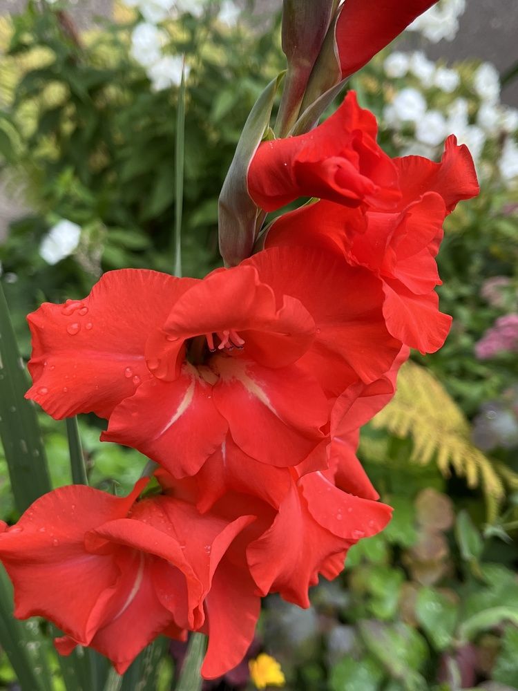 Photograph by Болдырева Ольга